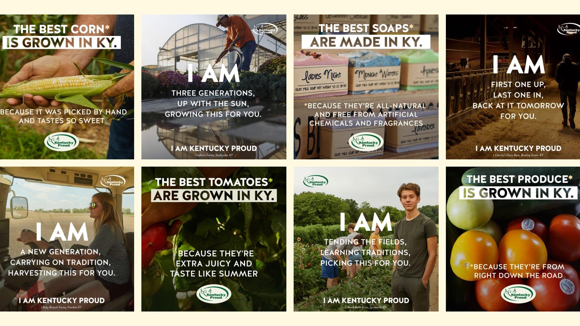 Grid of eight Kentucky Proud social posts: "The Best Corn Is Grown in KY," "I Am" farmer portraits, and posts for soaps, tomatoes and produce